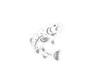 Marshall County Hunting and Fishing Club