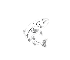 Marshall County Hunting and Fishing Club